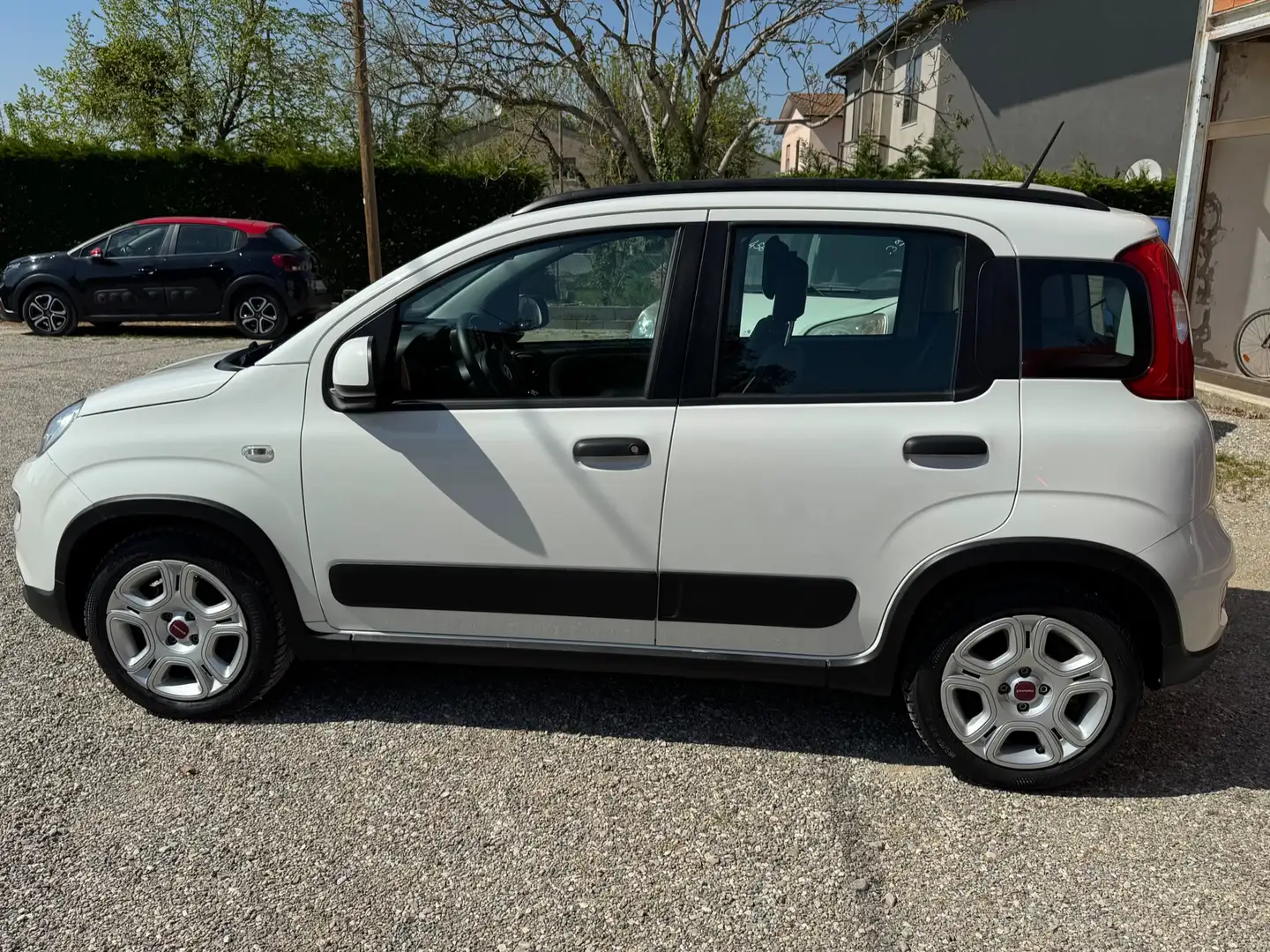 Fiat Panda 1.2 easypower CityLife Bianco - 2