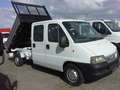 Fiat Ducato 2.8 jtd 7 posti cassone ribaltabile doppia cabina Blanco - thumbnail 6