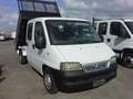 Fiat Ducato 2.8 jtd 7 posti cassone ribaltabile doppia cabina Blanco - thumbnail 7