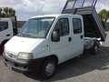 Fiat Ducato 2.8 jtd 7 posti cassone ribaltabile doppia cabina Blanco - thumbnail 8
