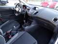 Ford Fiesta 1.0 Trend SYNC Edition"KLIMA"SITZHZG"94 TKM"EURO-6 Silber - thumbnail 13