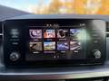 Skoda Kamiq 1.0 TSI CLEVER *LED *RKAM *LM *TEMPO *VIRTUAL *SH Blau - thumbnail 12