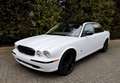 Jaguar XJR Super V8 Wit - thumbnail 4