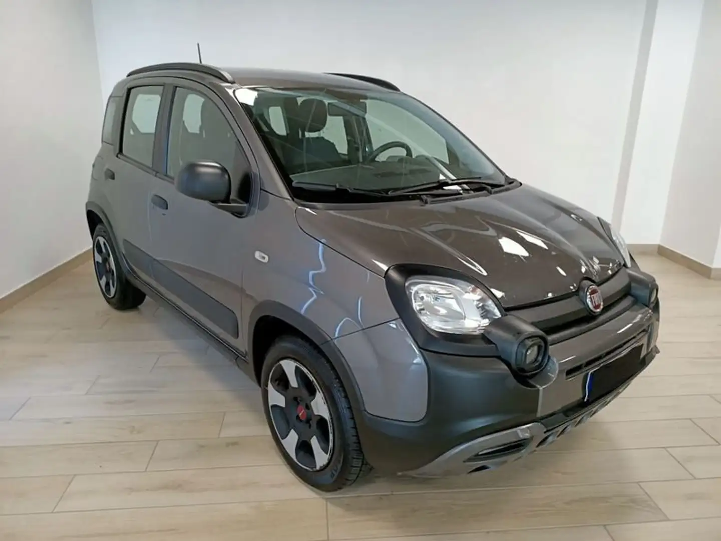Fiat Panda 1.0 FireFly S&S Hybrid Gris - 1