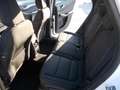 Ford Kuga 2.0 EcoBlue Hybrid 150 CV 2WD Titanium Business Bianco - thumbnail 11