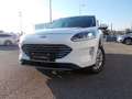 Ford Kuga 2.0 EcoBlue Hybrid 150 CV 2WD Titanium Business Bianco - thumbnail 4