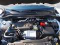 Ford Kuga 2.0 EcoBlue Hybrid 150 CV 2WD Titanium Business Bianco - thumbnail 15