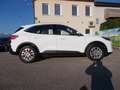 Ford Kuga 2.0 EcoBlue Hybrid 150 CV 2WD Titanium Business Bianco - thumbnail 5