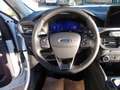Ford Kuga 2.0 EcoBlue Hybrid 150 CV 2WD Titanium Business Bianco - thumbnail 13