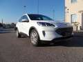 Ford Kuga 2.0 EcoBlue Hybrid 150 CV 2WD Titanium Business Bianco - thumbnail 1