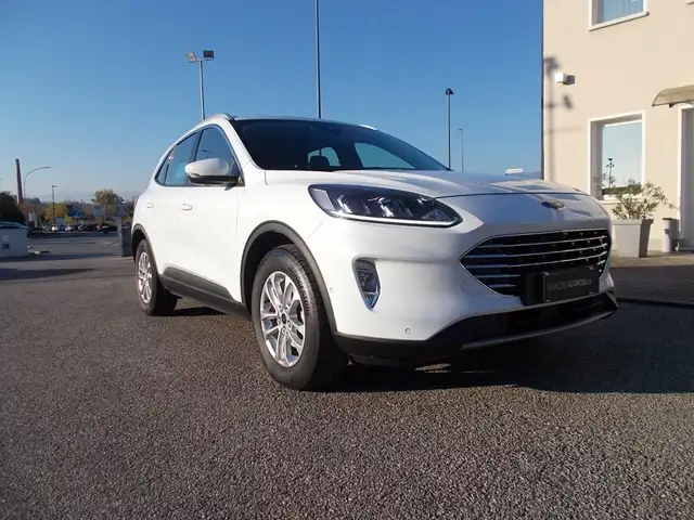 Ford Kuga 2.0 EcoBlue Hybrid 150 CV 2WD Titanium Business