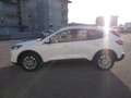 Ford Kuga 2.0 EcoBlue Hybrid 150 CV 2WD Titanium Business Bianco - thumbnail 7