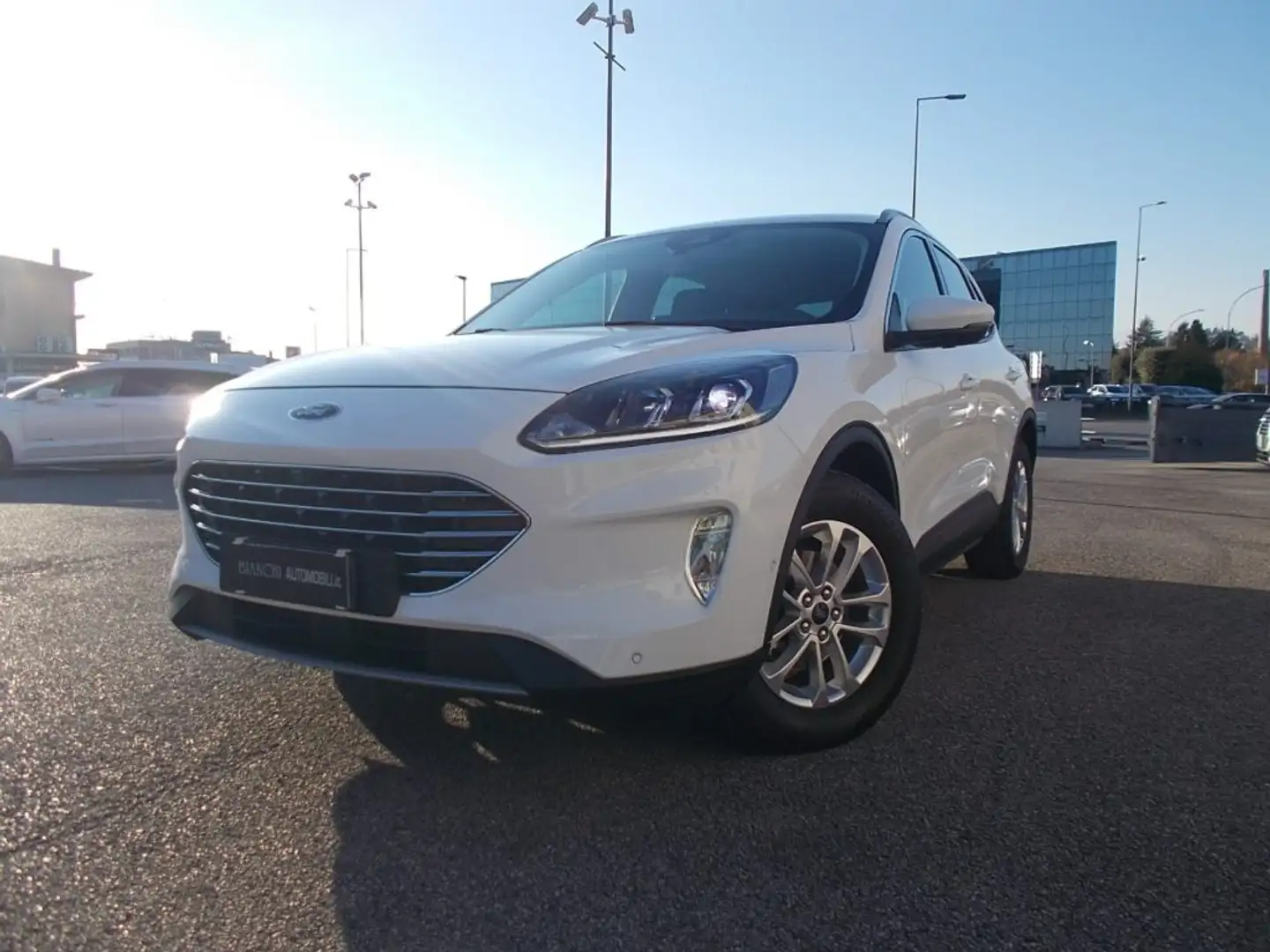 Ford Kuga 2.0 EcoBlue Hybrid 150 CV 2WD Titanium Business Bianco - 2