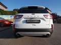 Ford Kuga 2.0 EcoBlue Hybrid 150 CV 2WD Titanium Business Bianco - thumbnail 6