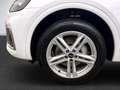Audi Q5 55 TFSI e quattro S line/Virtual Co/AHK/LED-S Blanc - thumbnail 8