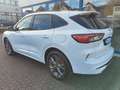 Ford Kuga Plug-In Hybrid ST-Line X Blanco - thumbnail 5