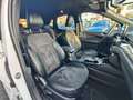 Ford Kuga Plug-In Hybrid ST-Line X Blanco - thumbnail 11