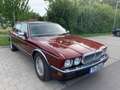 Jaguar Daimler JAGUAR-DAIMLER XJ 40 \H\-ISTORIC DREAM-CAR Rouge - thumbnail 6