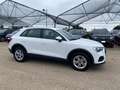 Audi Q3 Q3 45 TFSI e S tronic Business Weiß - thumbnail 3
