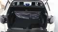 Jeep Avenger Avenger 1.2 Turbo 110 CV MHEV Summit #VARI COLORI# Weiß - thumbnail 30