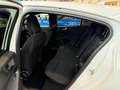 Ford Focus 1.0t ecoboost h st-line 125cv Bianco - thumbnail 7