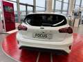 Ford Focus 1.0t ecoboost h st-line 125cv Bianco - thumbnail 10