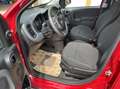 Fiat Panda 1.0 70cv CROSS - NO VINCOLI!! Rouge - thumbnail 7