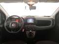 Fiat Panda Panda Cross 1.0 FireFly S&S Hybrid Rood - thumbnail 9