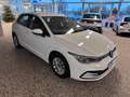 Volkswagen Golf VIII 1.0 TSI *PARKSENSOREN*APP* Weiß - thumbnail 7