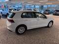 Volkswagen Golf VIII 1.0 TSI *PARKSENSOREN*APP* Weiß - thumbnail 6