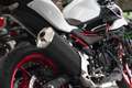Kawasaki Z 500 SE ABS, 4 JAHRE WERKSGAR.,sofort lieferbar Blanco - thumbnail 11