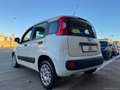 Fiat Panda 1.2 Lounge Blanc - thumbnail 9