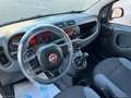Fiat Panda 1.2 Lounge Blanc - thumbnail 14
