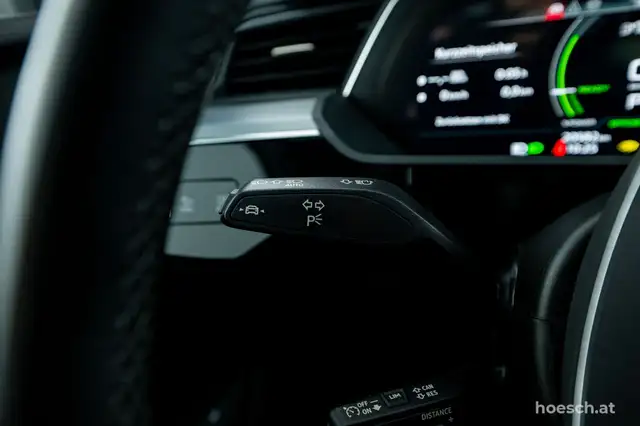 Audi Q8 e-tron 55 SB quattro 2x S-LINE PANO MATRIX LUFT -49% Ansicht 40