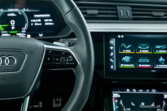 Audi Q8 e-tron 55 SB quattro 2x S-LINE PANO MATRIX LUFT -49% Ansicht 30