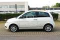 Lancia Ypsilon Ypsilon 1.4 Unyca Ecochic GPL Blanc - thumbnail 8