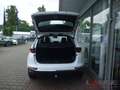 Kia Sportage GDI EU6d 1.6 Edition 7 2WD AHK Apple CarPlay Andro Weiß - thumbnail 6