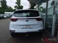 Kia Sportage GDI EU6d 1.6 Edition 7 2WD AHK Apple CarPlay Andro Weiß - thumbnail 5