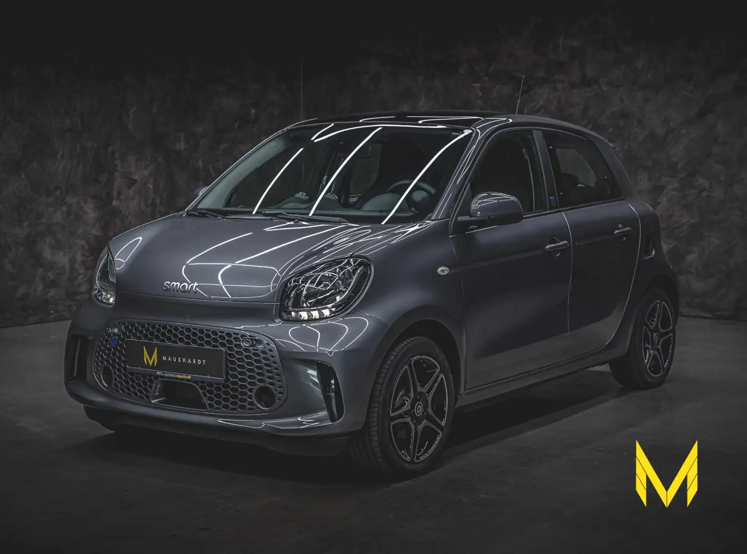 smart forFour EQ pulse PREMIUM+PANO+22kWLADER+NUR909KM Grau - 1