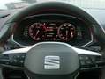 SEAT Tarraco 2.0TSI FR 4Drive 7-Sitzer 360° Panorama Weiß - thumbnail 10