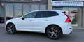 Volvo XC60 R Design AWD KAMERA AHK LEDER LED GARANTIE 2 HAND Weiß - thumbnail 8