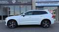 Volvo XC60 R Design AWD KAMERA AHK LEDER LED GARANTIE 2 HAND Weiß - thumbnail 7