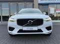 Volvo XC60 R Design AWD KAMERA AHK LEDER LED GARANTIE 2 HAND Weiß - thumbnail 4