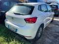 SEAT Ibiza Ibiza 1.0 ecotsi Business 110cv Bianco - thumbnail 5