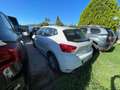 SEAT Ibiza Ibiza 1.0 ecotsi Business 110cv Bianco - thumbnail 4