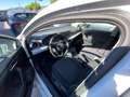 SEAT Ibiza Ibiza 1.0 ecotsi Business 110cv Bianco - thumbnail 9