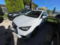 SEAT Ibiza Ibiza 1.0 ecotsi Business 110cv Bianco - thumbnail 3