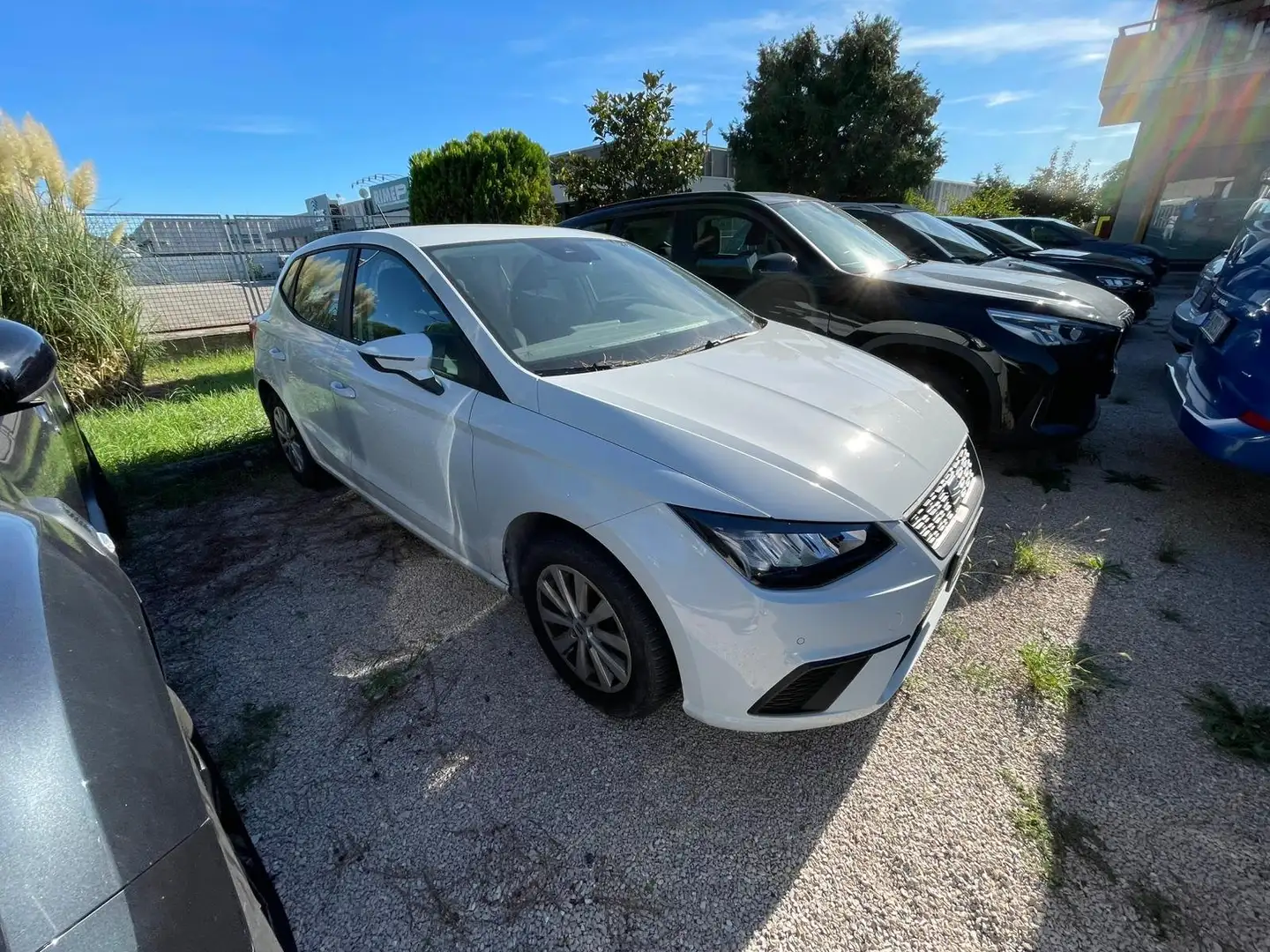 SEAT Ibiza Ibiza 1.0 ecotsi Business 110cv Bianco - 2