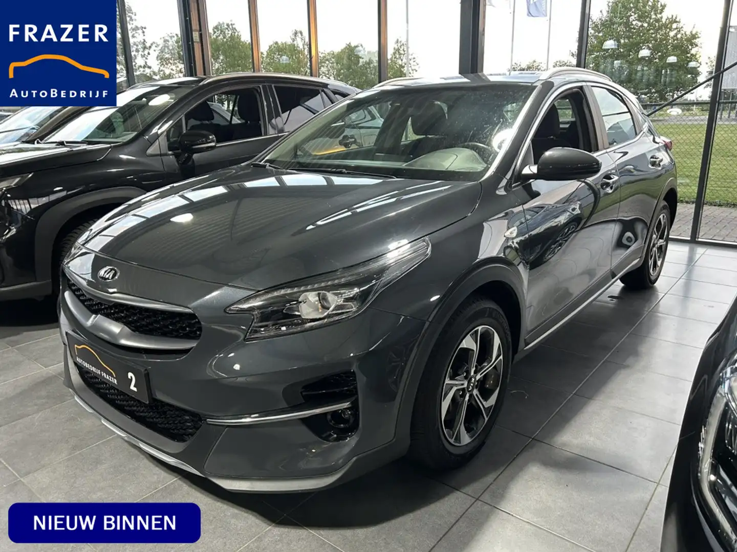 Kia XCeed 1.0 T-GDi DynamicLine RIJKLAAR Gris - 1