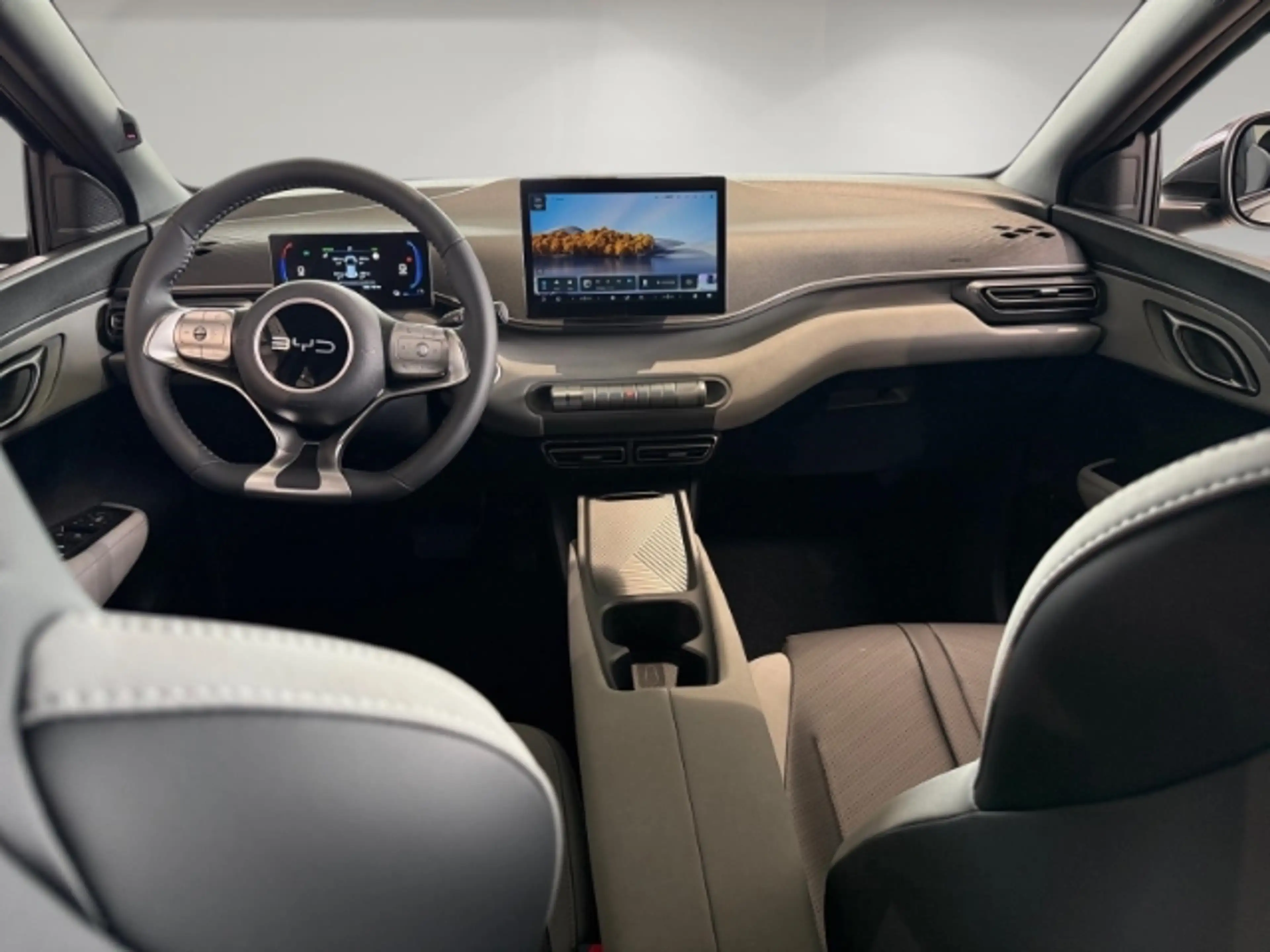 BYD Dolphin Boost/43,2 kWh/Leder/Klimaanlage/Navi/Rückfahrkame — photo 12